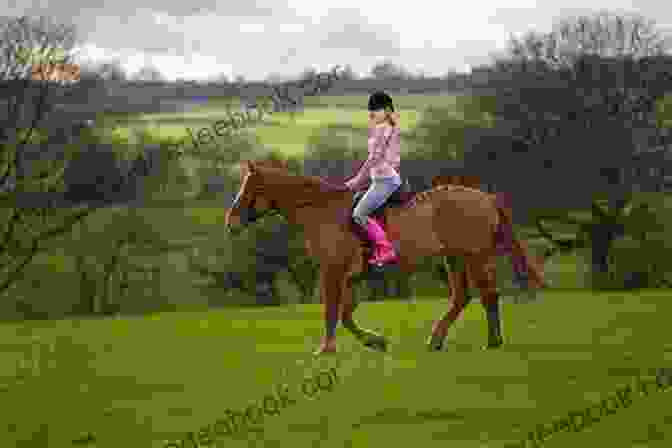 A Young Girl Riding A Brown Horse In A Field My First Of Horses