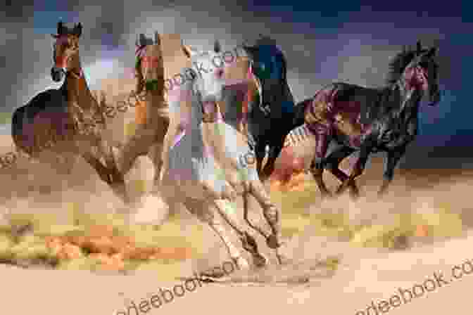 Horses Being Held Back Danny Learns Idioms Collection (2 In 1) (Idiom Meanings Collection)