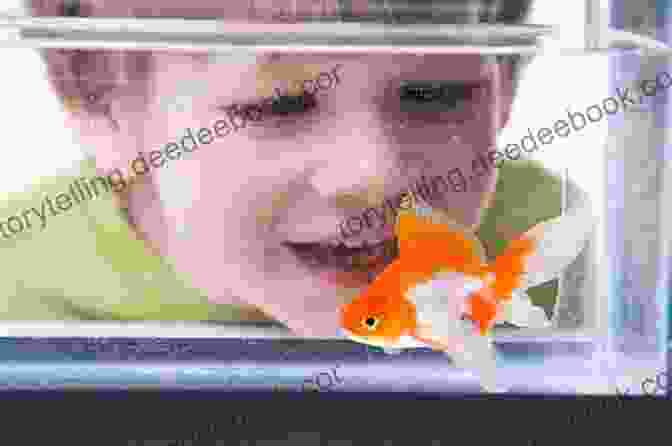 Max And Bubbles, A Boy And His Goldfish Sharing A Tender Moment Revenge Of The Goldfish: Upbeat Fun Poems For 4 7 Year Olds