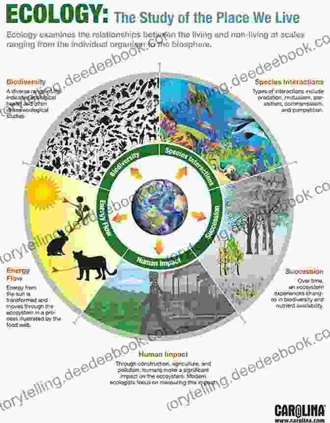 Photo Of A Circle Of Life Depicting The Interconnectedness Of Nature Living Off The Land At Granny S