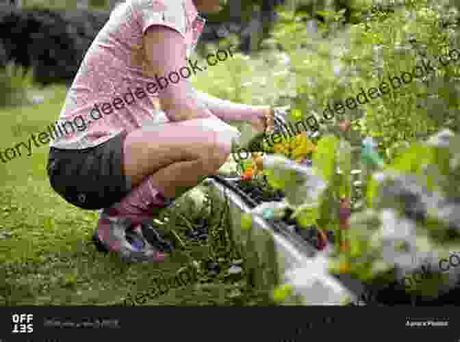 Photo Of A Woman Tending To A Vegetable Garden Living Off The Land At Granny S