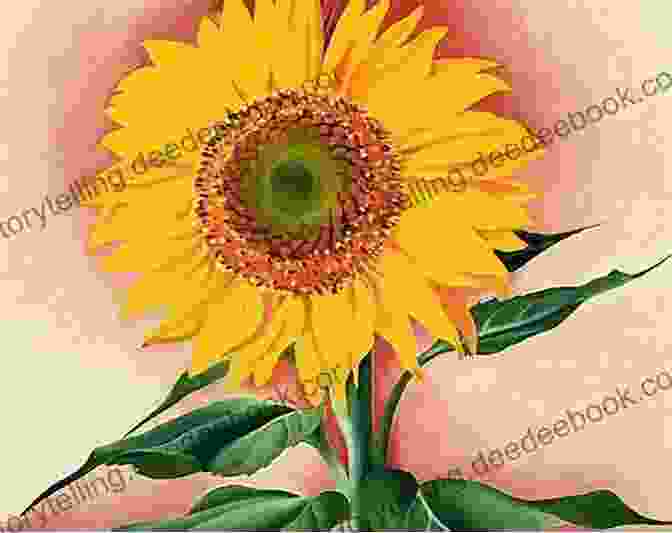 Sunflowers By Georgia O'Keeffe, Featuring A Close Up Of A Single Sunflower Mother S Day Thanks Flowers In Art To Remember Mother 10 Prints In A To Decorate Gift Or Collect: Challenge 2024 Art To Raise Awareness To Humanitarian Causes By Artist Grace Divine