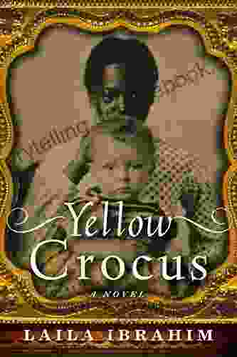 Yellow Crocus Laila Ibrahim